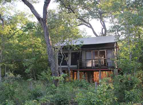 Miombo Elephant Camp - Hwange